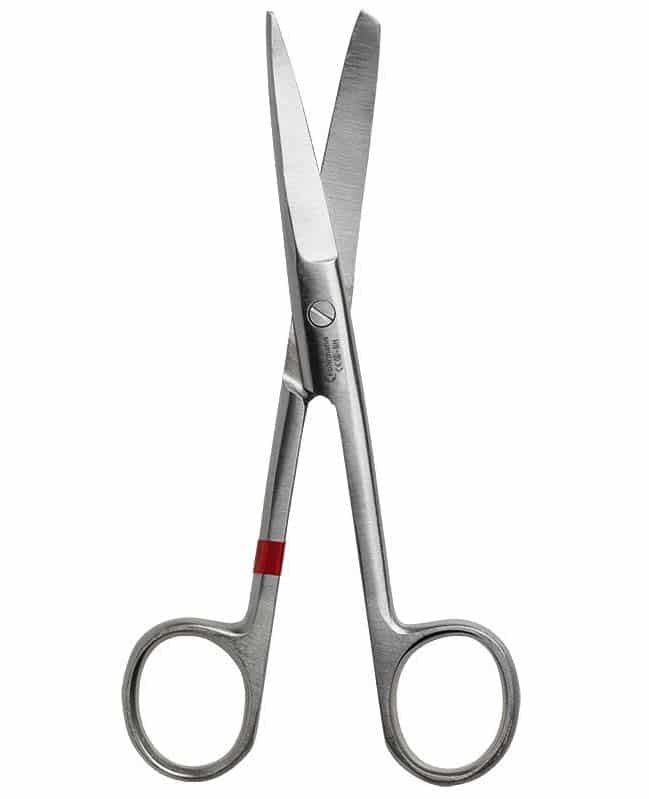 Surgical Scissors, curved